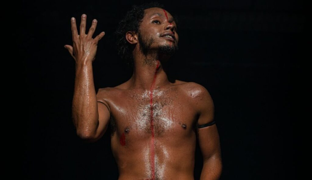 Macacos-melanina-festival